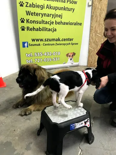 Szkolenie Psów - Szumak-Centrum Zwierzęcych Spraw